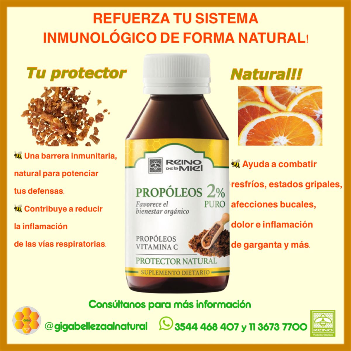 Jarabe de Propóleos - Puro 2% Protector Natural - InfoGuia Traslasierra - Jarabe de Propóleos - Protector Natural