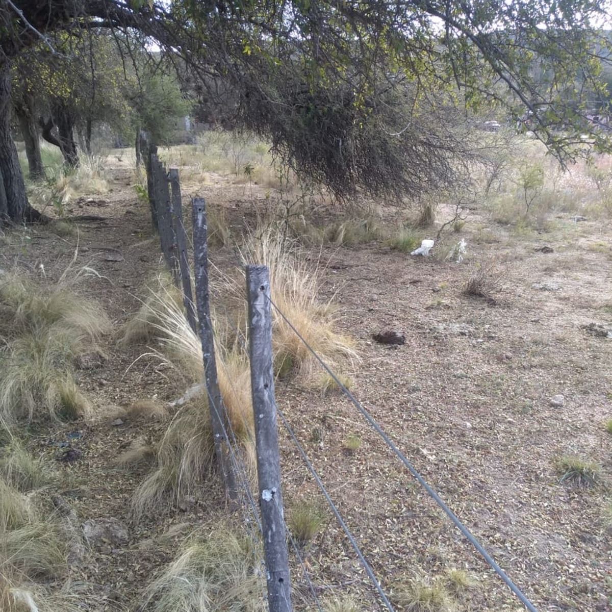 Terreno de 1000m en San Lorenzo - InfoGuia Traslasierra - Lote alambrado