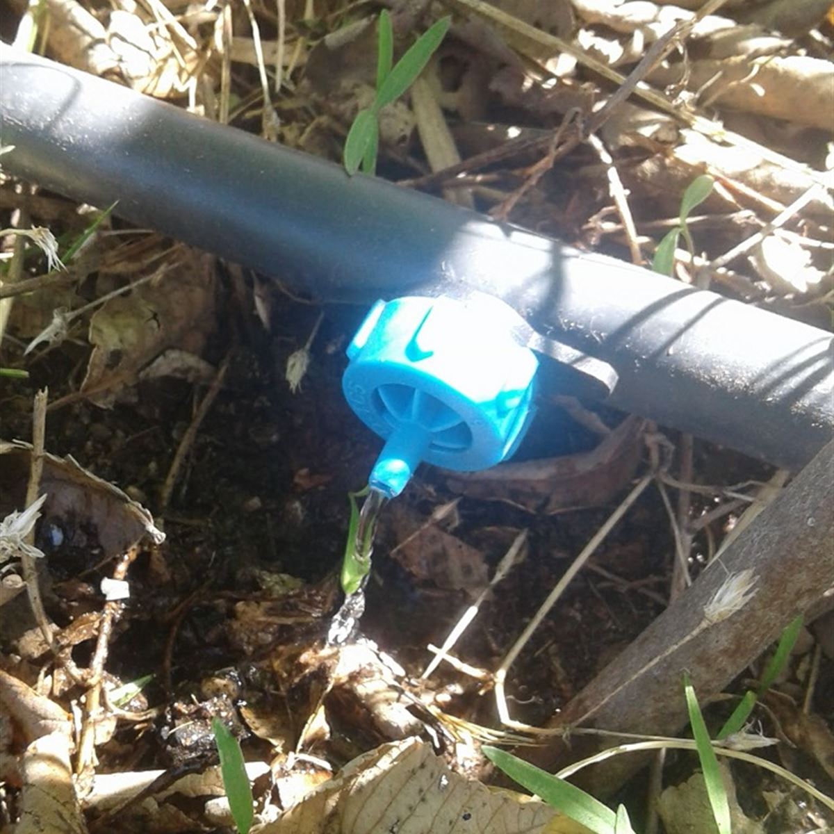Sistema por goteo - InfoGuia Traslasierra - Riego con goteros regulables en llano