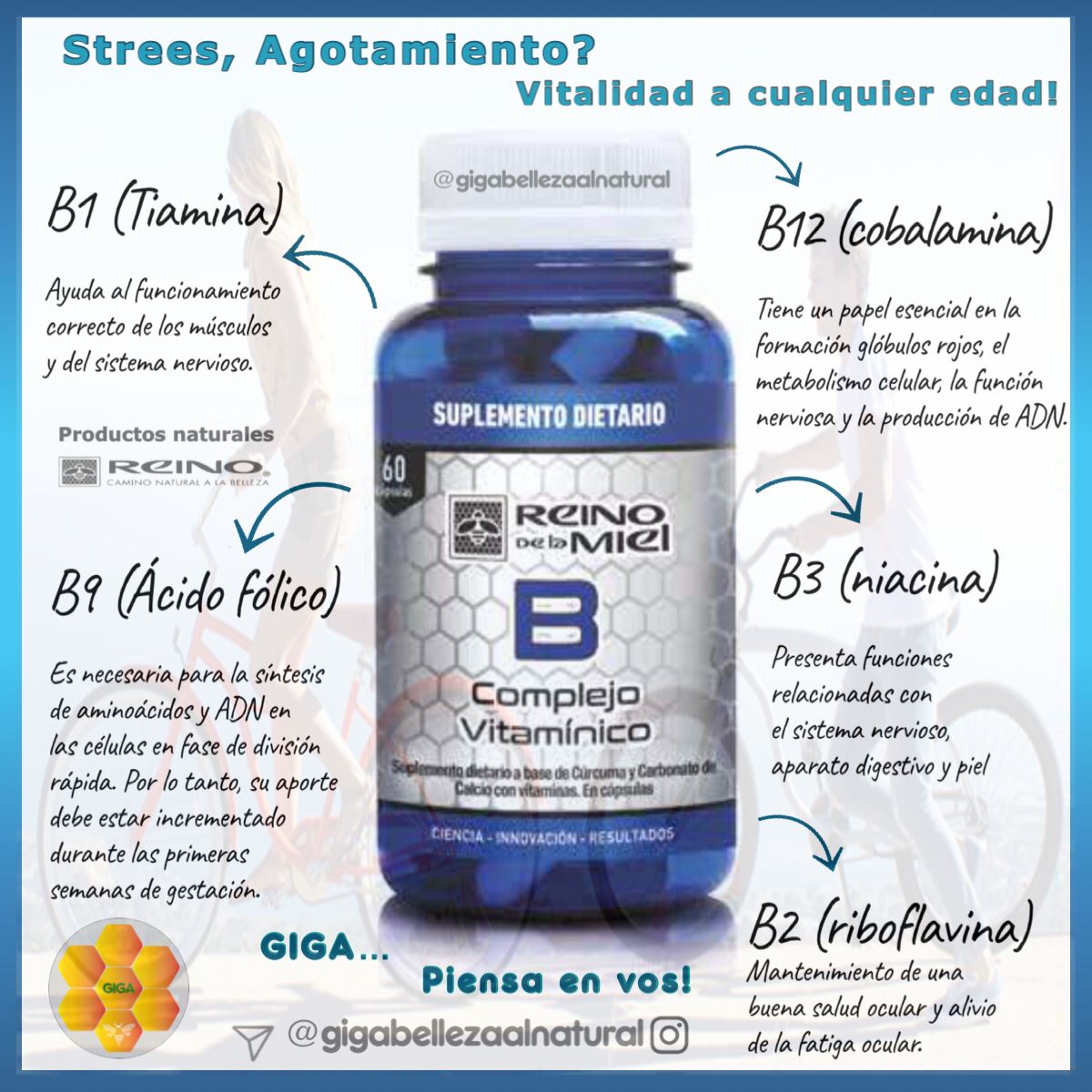 Suplemento Dietario natural Complejo Vitamínico B - InfoGuia Traslasierra - Suplemento Dietario natural Complejo Vitamínico B