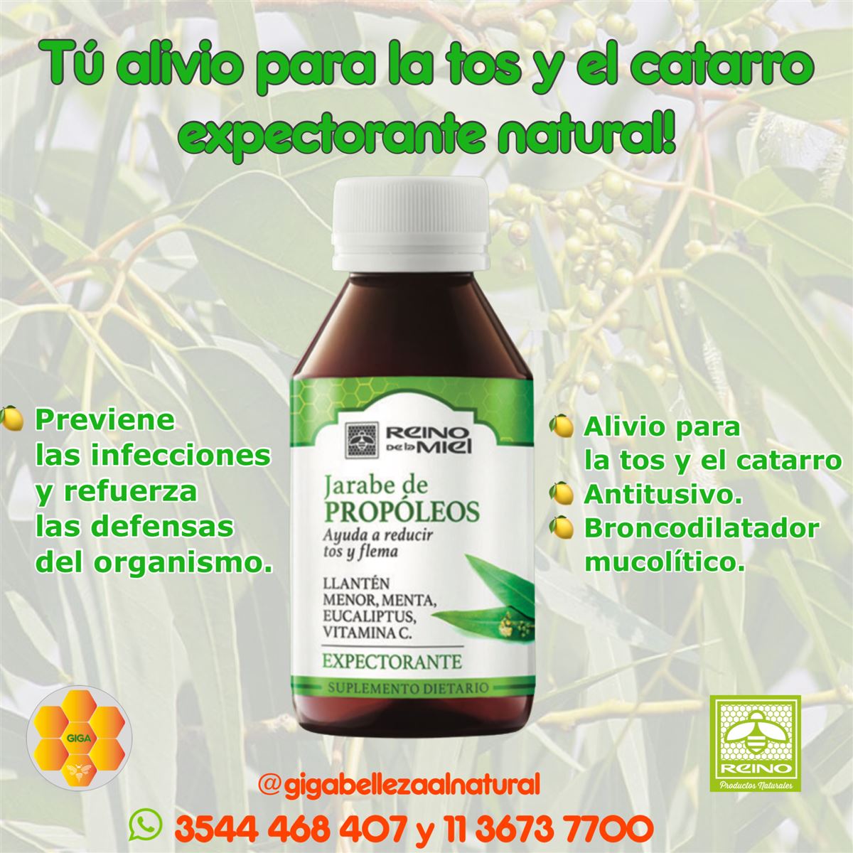 Jarabe de Própoleos - Expectorante natural - InfoGuia Traslasierra - Jarabe de Própoleos - Expectorante natural