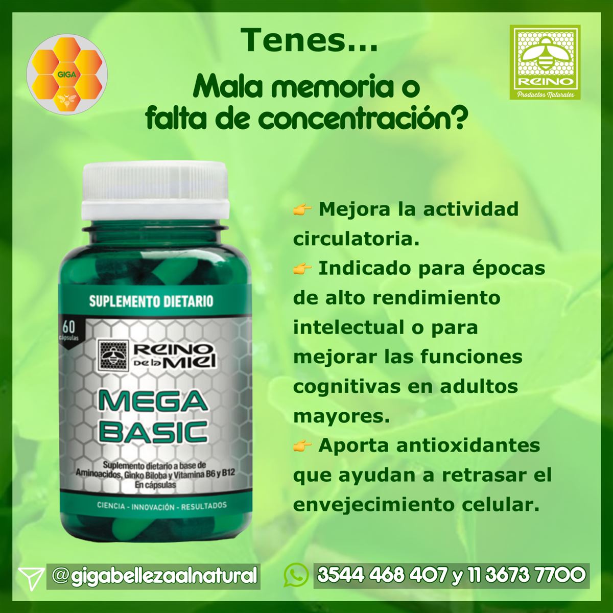 Suplemento Dietario natural - Mega Basic - InfoGuia Traslasierra - Mega basic