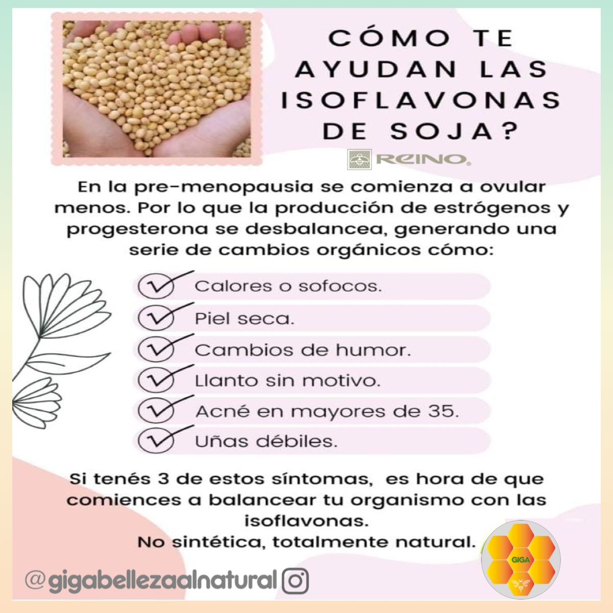 Suplemento dietario natural Isoflavonas + Vitamina E - InfoGuia Traslasierra - Isoflavonas