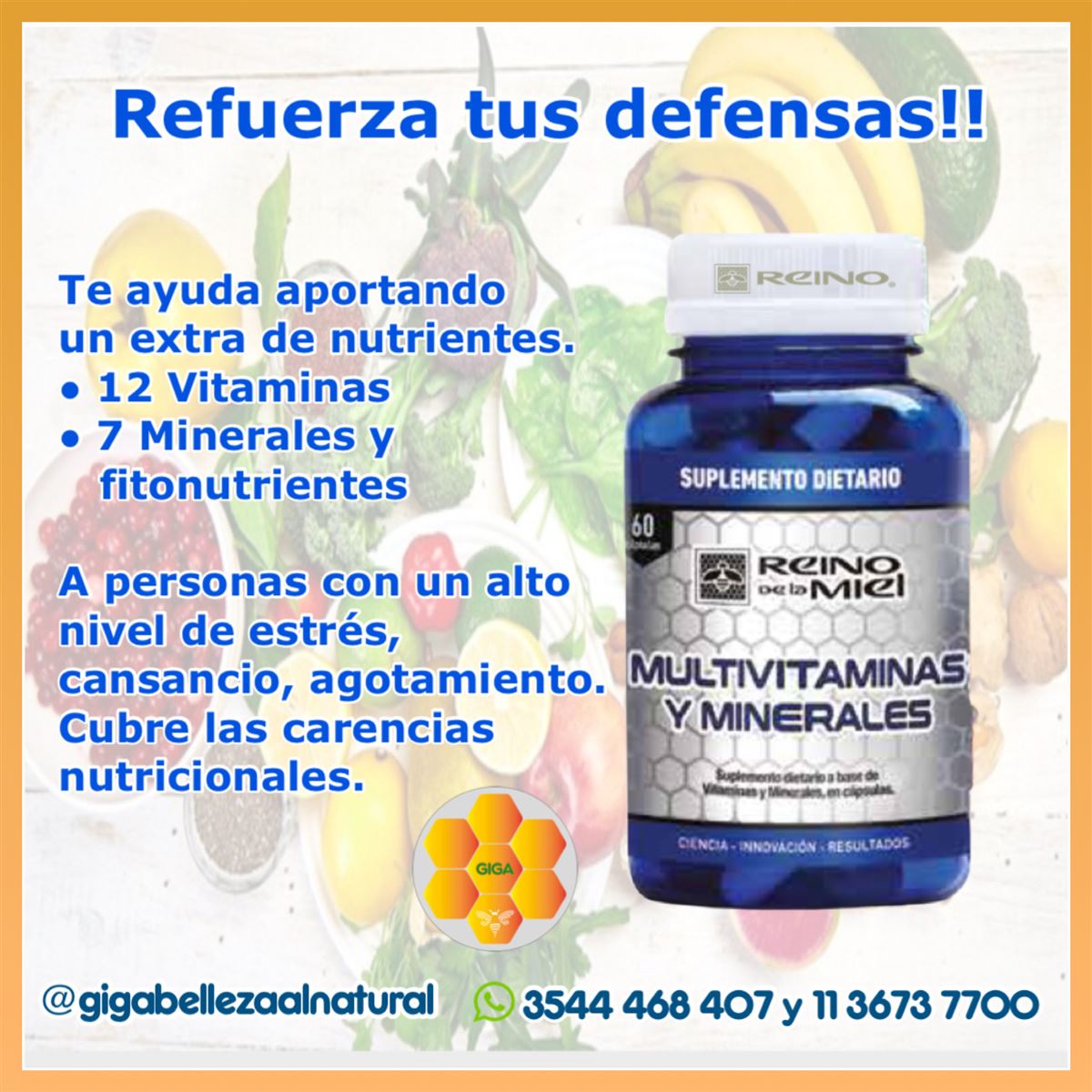 Suplemento dietario natural - Multivitaminas y minerales - InfoGuia Traslasierra - Multivitaminas y minerales