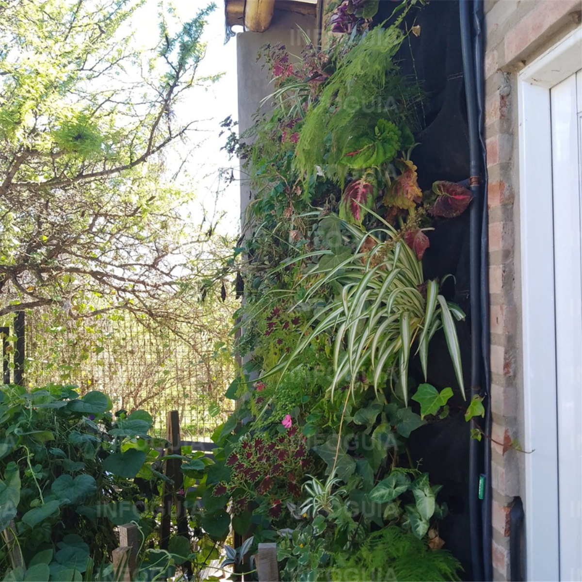 Jardines verticales - InfoGuia Traslasierra - Paredes decoradas