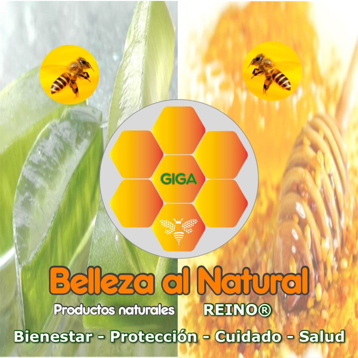 Productos Belleza y Salud - GiGA Belleza al natural - InfoGuia Traslasierra - Distribución de REINO de la miel en Traslasierra. 30 años garantizando nuestros productos.   Acercando calidad y bienestar. Solicitar Catálogo.