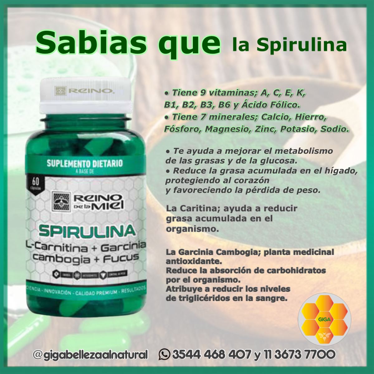 Suplemento dietario natural - Spirulina - InfoGuia Traslasierra - Spirulina